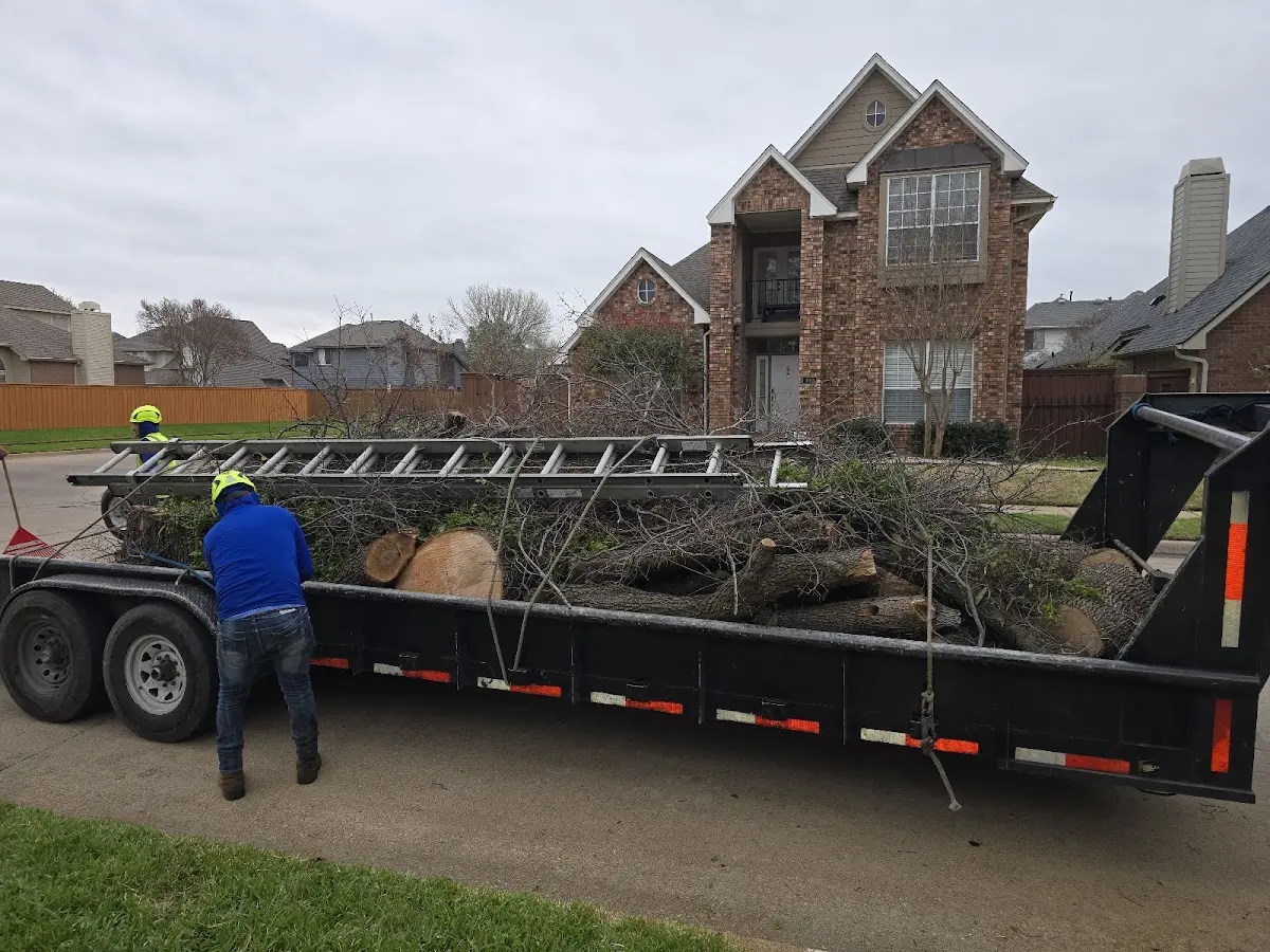 Expert Tree Fertilization with proper safety equipment in Agate